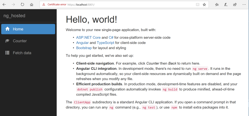 Standard template for Angular and .NET Core integration