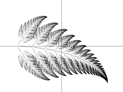 Fern
